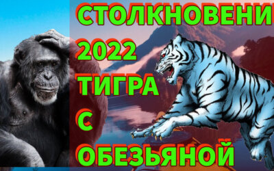 Главное столкновение 2022 года