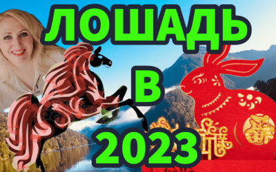 Лошадь в 2023 году