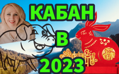 Кабан в 2023 году