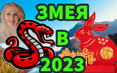 Змея в 2023 году